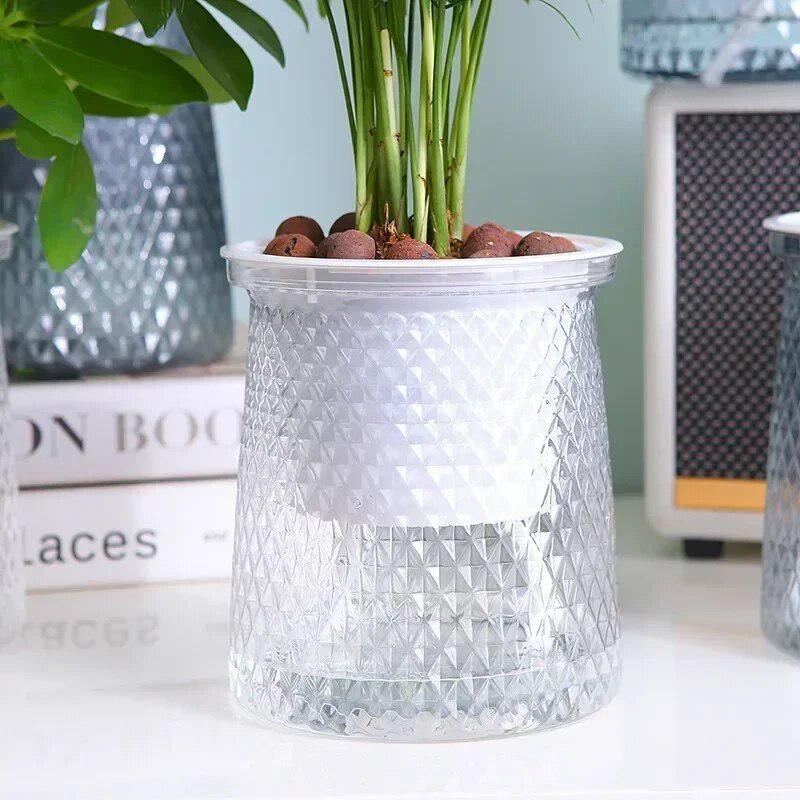 Aloe Vera Pot - 2024 transparente auto rega vaso de