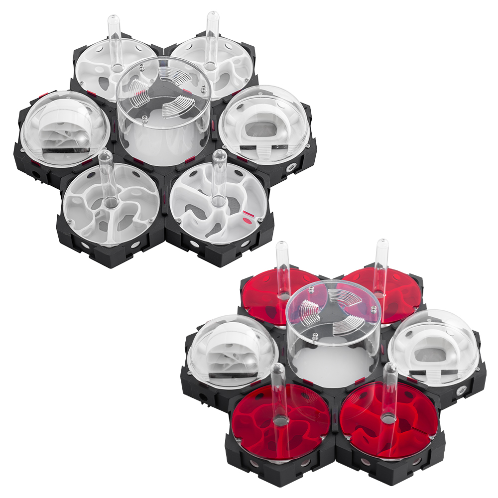 Impressão 3d ninho de formiga  - Begonia Rex avaliação e preço