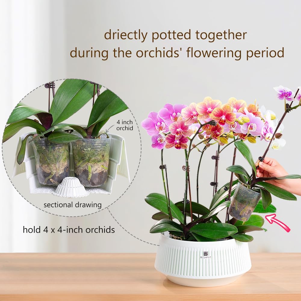 Vaso de Orquídea Meshpot com F - Aloe Vera Pot avaliação e preço