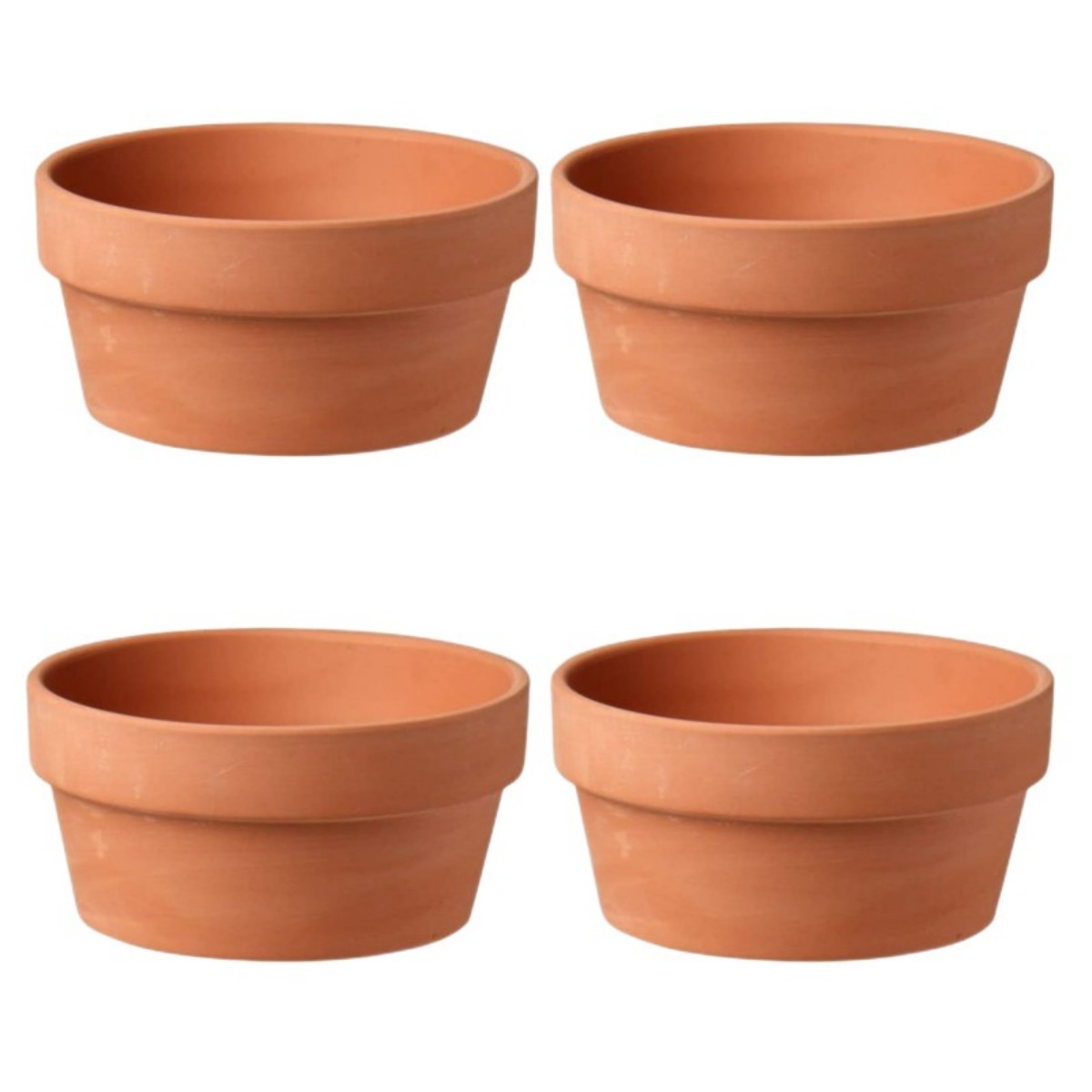 Vasos de terracota para flores - Aloe Vera Pot avaliação e preço