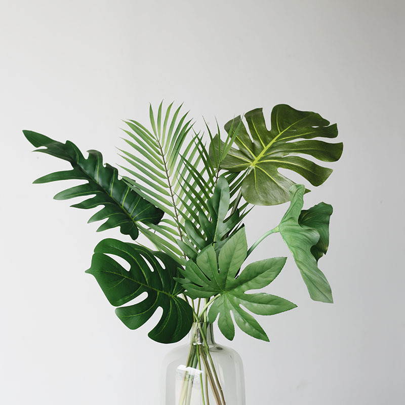 59cm folha de tartaruga planta - Monstera Adansonii avaliação e preço