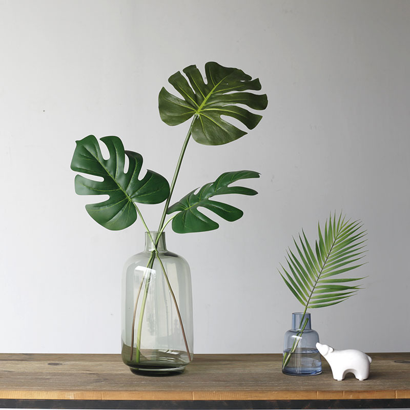 59cm folha de tartaruga planta - Monstera Adansonii avaliação e preço