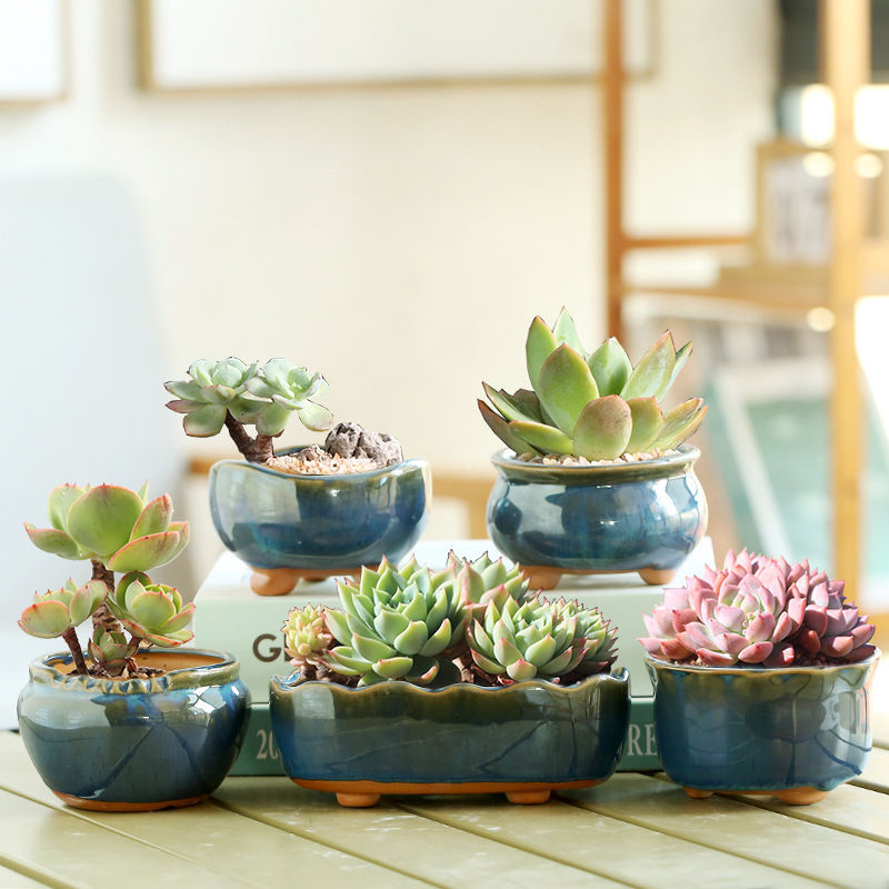 Vaso de Cerâmica Azul com Efei - Aloe Vera Pot avaliação e preço