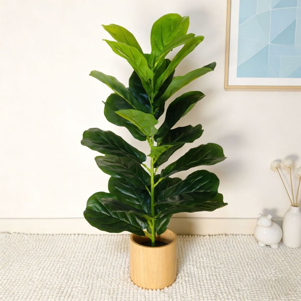 Árvore Artificial de Ficus Ver - Monstera Adansonii avaliação e preço
