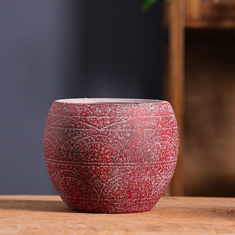 Vaso de flores suculentas medi - Aloe Vera Pot avaliação e preço