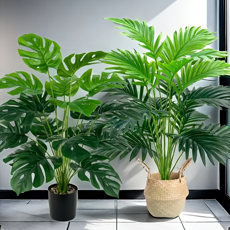 2 pçs verde 24 folhas plantas  - Monstera Adansonii avaliação e preço
