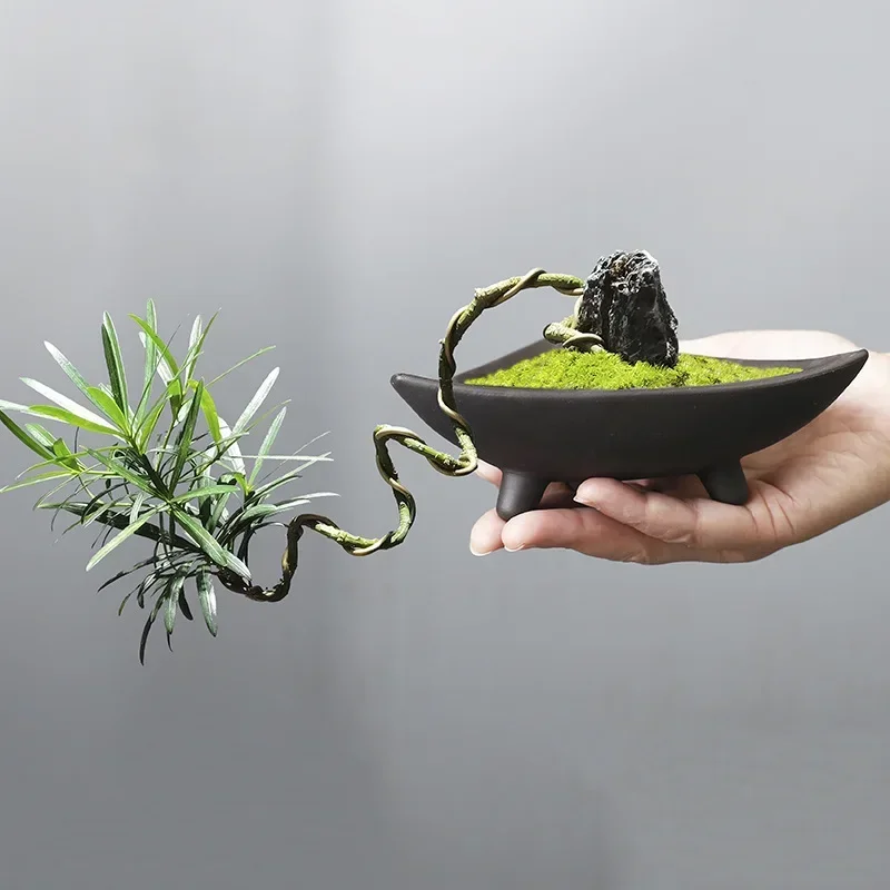 Vasos de cerâmica personalizad - Aloe Vera Pot avaliação e preço