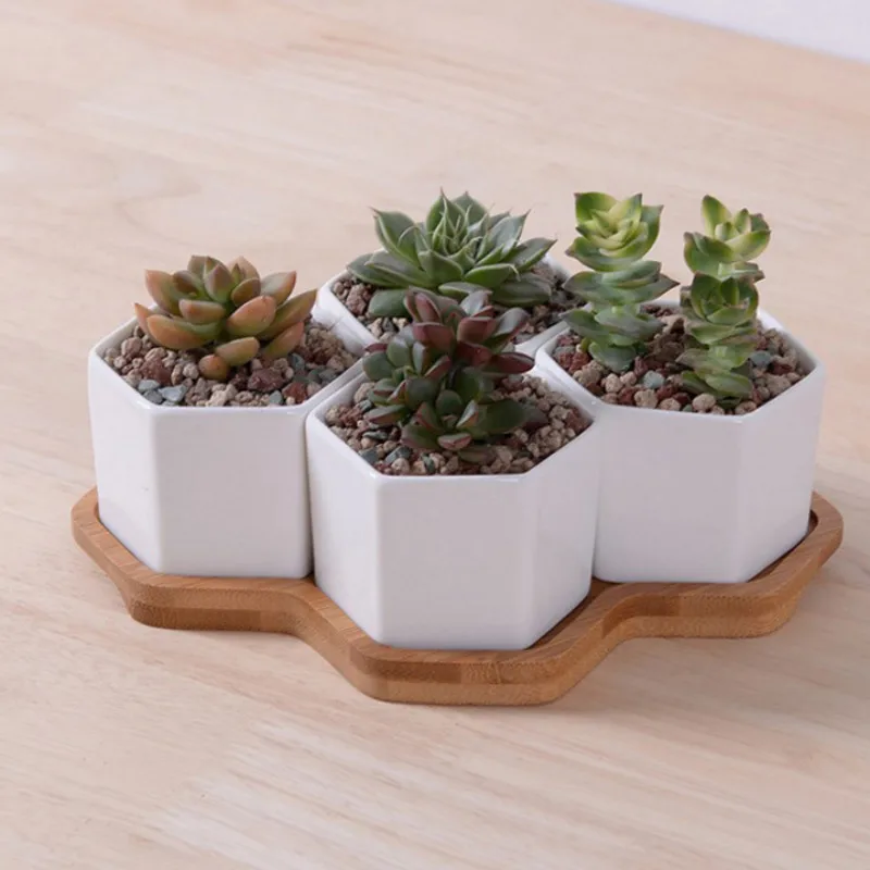 Conjunto de vasos de flores he - Aloe Vera Pot avaliação e preço