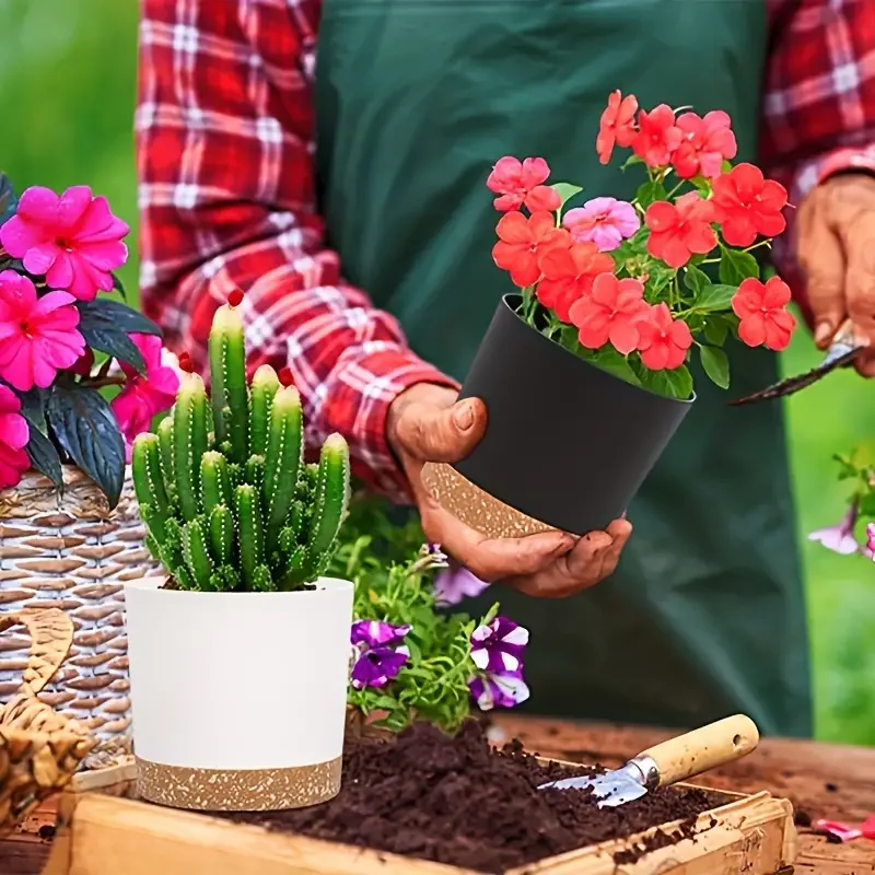 Vaso para Plantas, Pacote com  - Aloe Vera Pot avaliação e preço