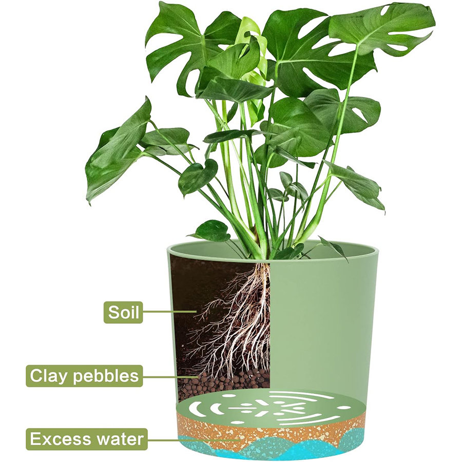 Vaso para Plantas, Pacote com  - Aloe Vera Pot avaliação e preço