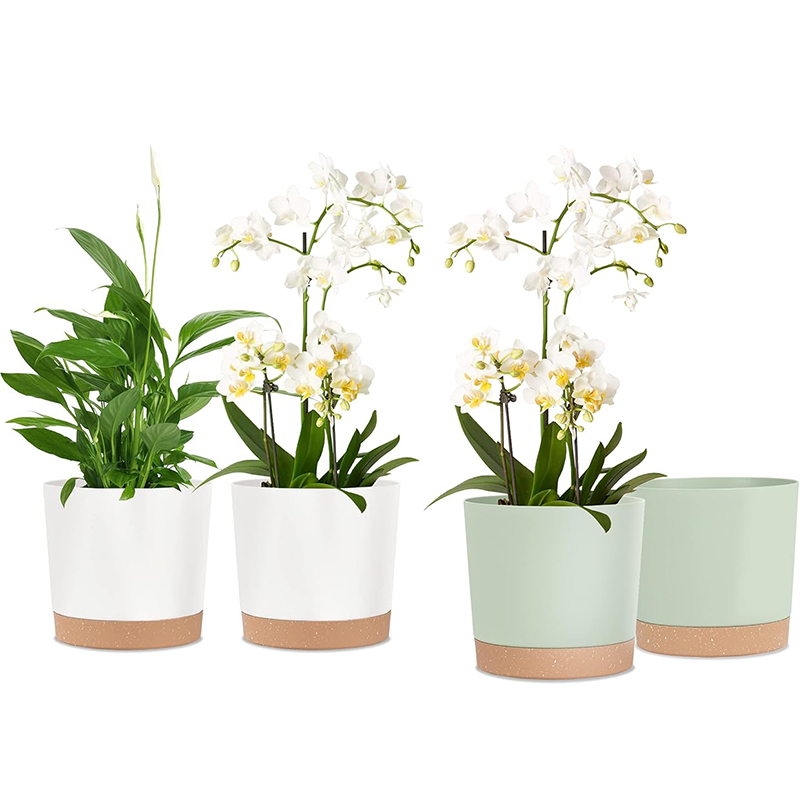Vaso para Plantas, Pacote com  - Aloe Vera Pot avaliação e preço
