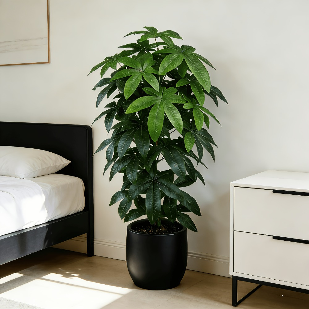Árvore do Dinheiro Artificial  - Monstera Adansonii avaliação e preço
